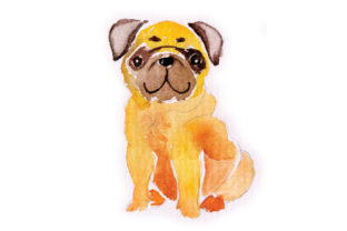 Aquarell Mops: A Practical Embroidery Design Review