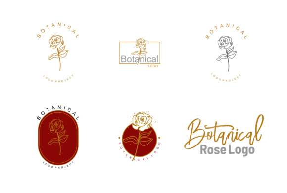 Botanical Rose Logo Beauty and Design Graphics Review