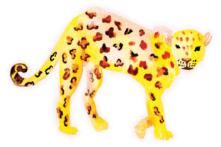 Leopard in Watercolor: An Embroidery Designer’s Review