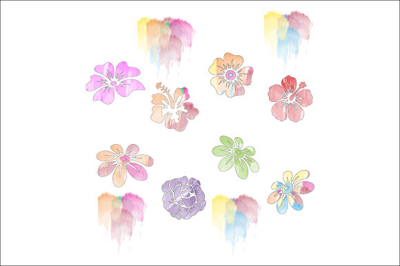Nice Flower with Watercolor Graphics & Illustrations
