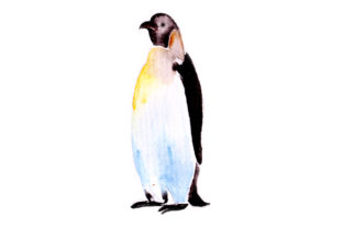 Penguin in Watercolor: Animal Crafts Asset Review