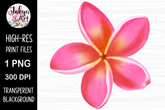 Plumeria Frangipani Watercolor Flower: Print & Graphics