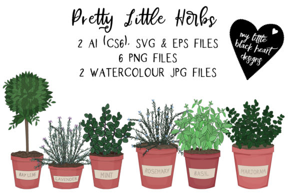 Pretty Little Herbs – Versatile Graphics & Illustrations