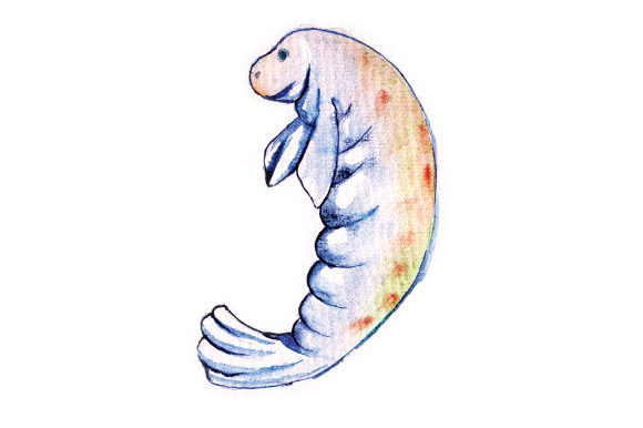 Watercolor Manatee: Perfect for Crafts & Animals