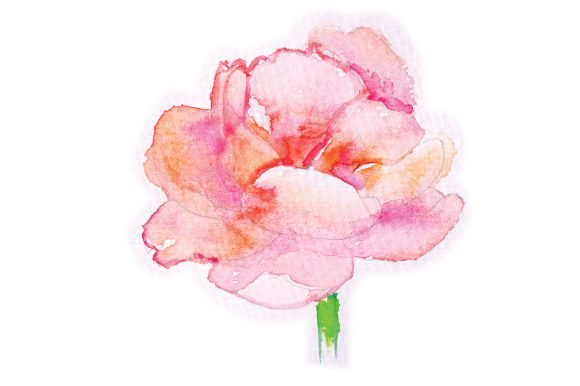 Watercolor Peony for Crafts & Animal-Inspired Blog Design