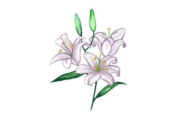 Watercolour Lilies: Nature Amp & Crafts Design Asset